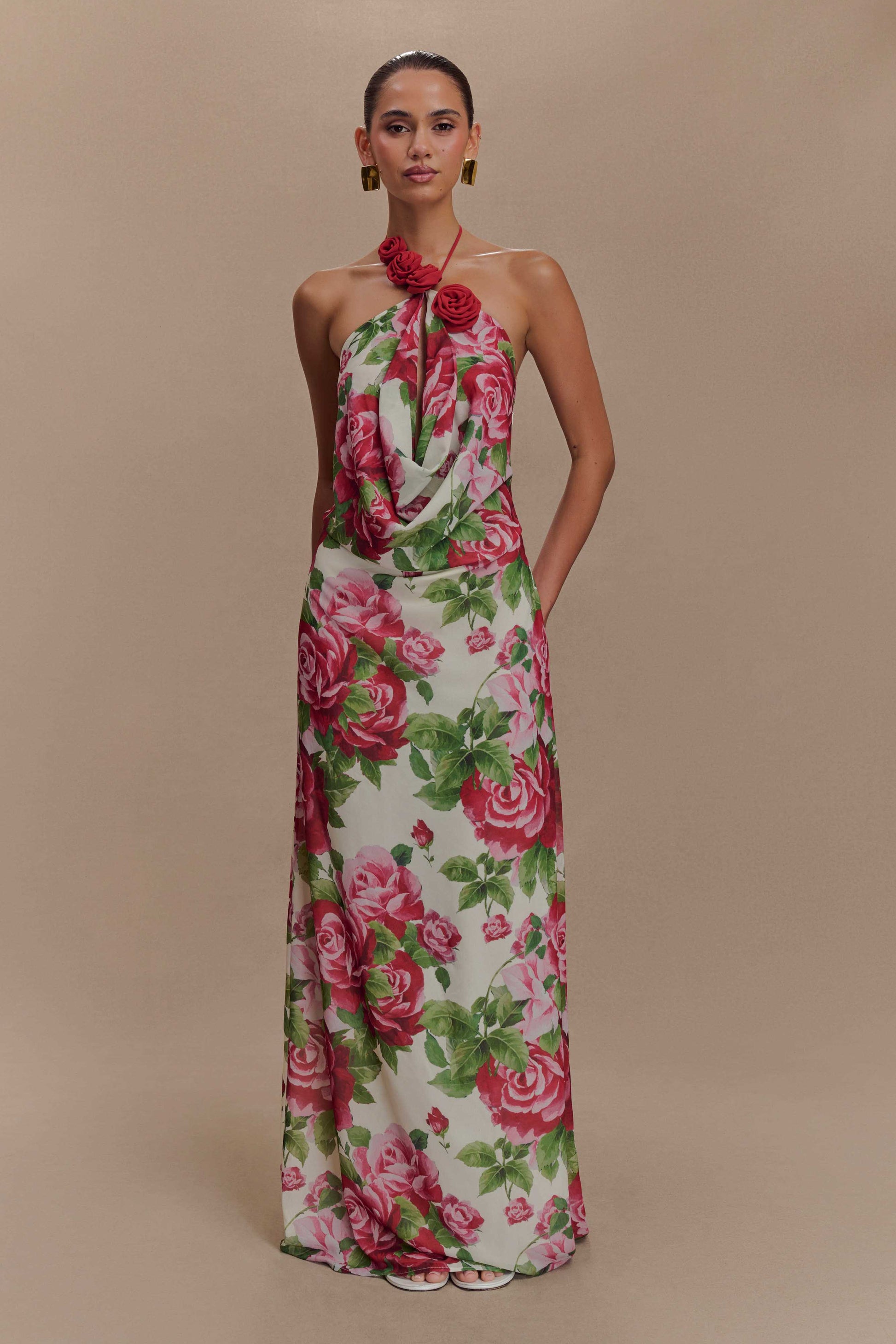 Rosalia Cowl Neck Maxi Dress - Sonia Rose Print #8