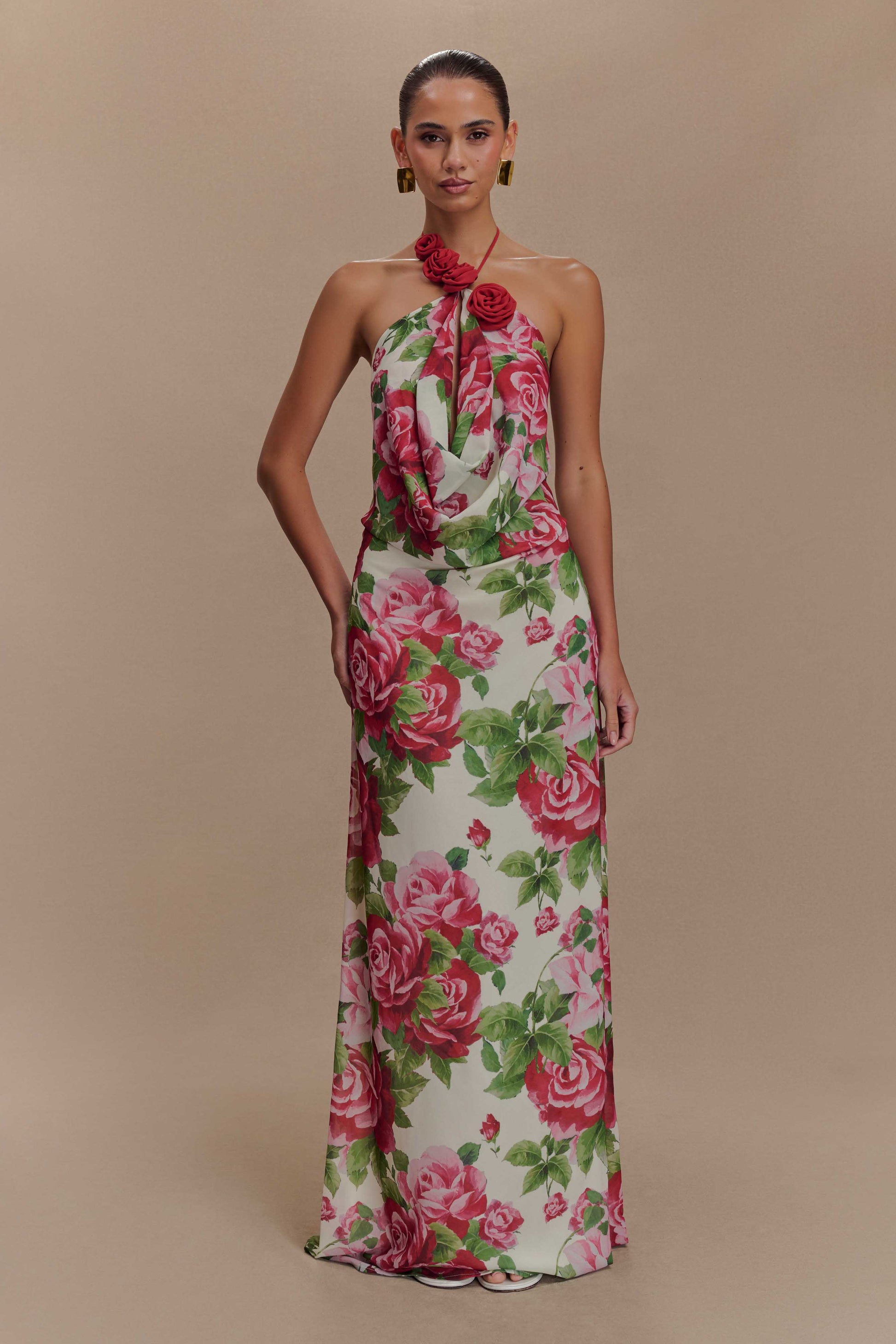Rosalia Cowl Neck Maxi Dress - Sonia Rose Print #4