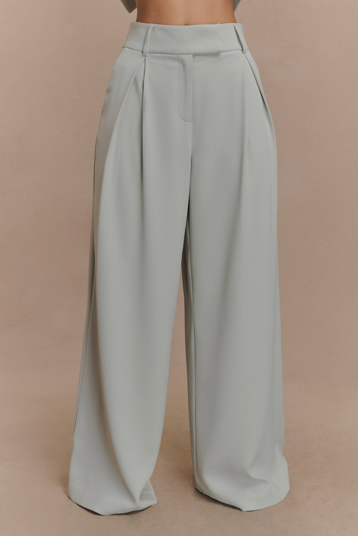 Jameson Pleated Wide Leg Pants - Light Sage