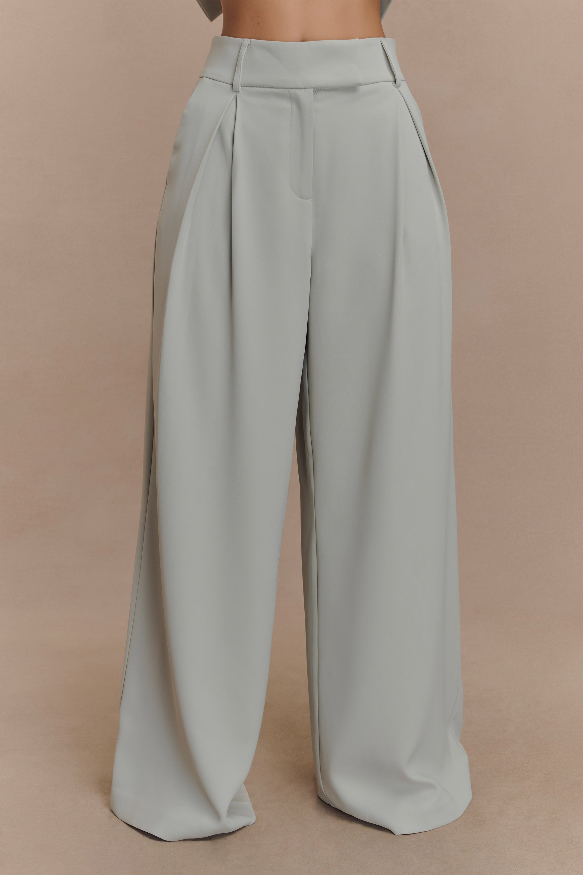 Jameson Pleated Wide Leg Pants - Light Sage #2