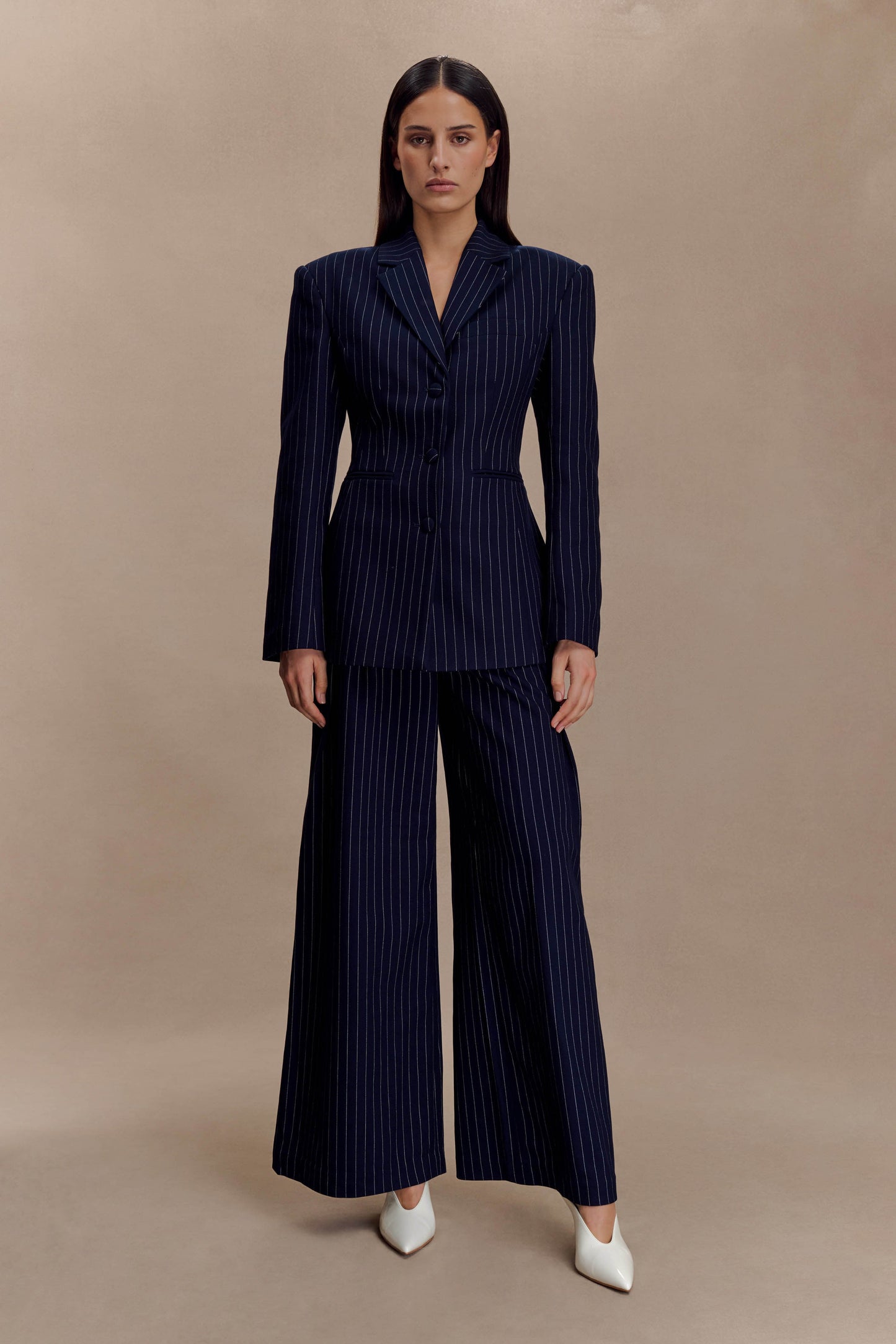 Jacqueline Pleated Wide Leg Pants - Navy Pinstripe