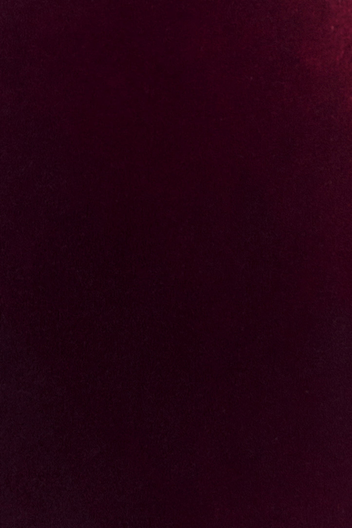 Paulina Velvet Strapless Mini Dress - Wine