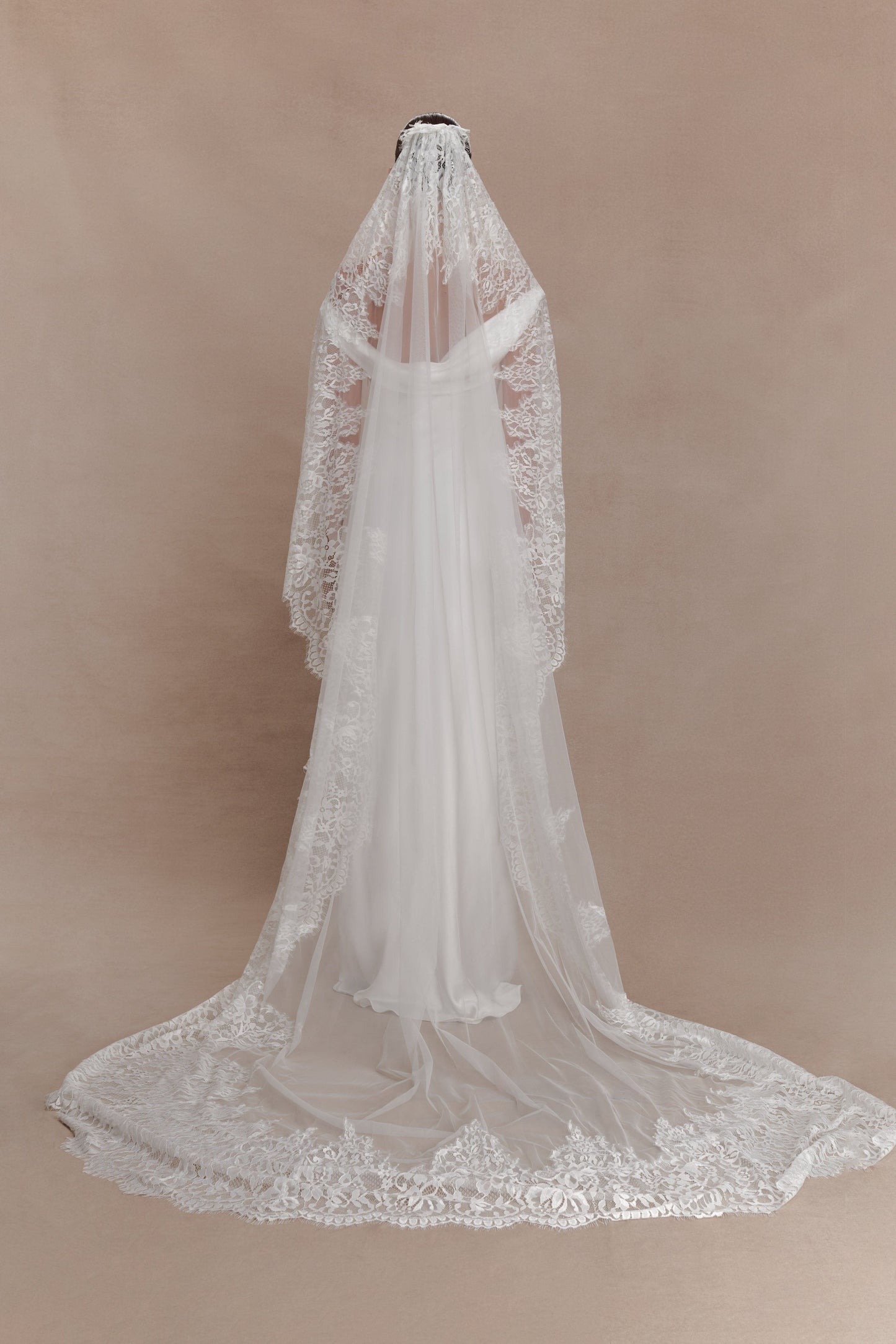 Cassia Lace Trim Veil - White