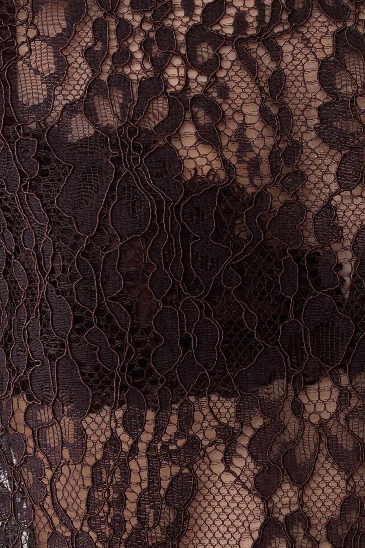 Harlyn Shoulder Pad Short Sleeve Lace Top - Dark Chocolate #6