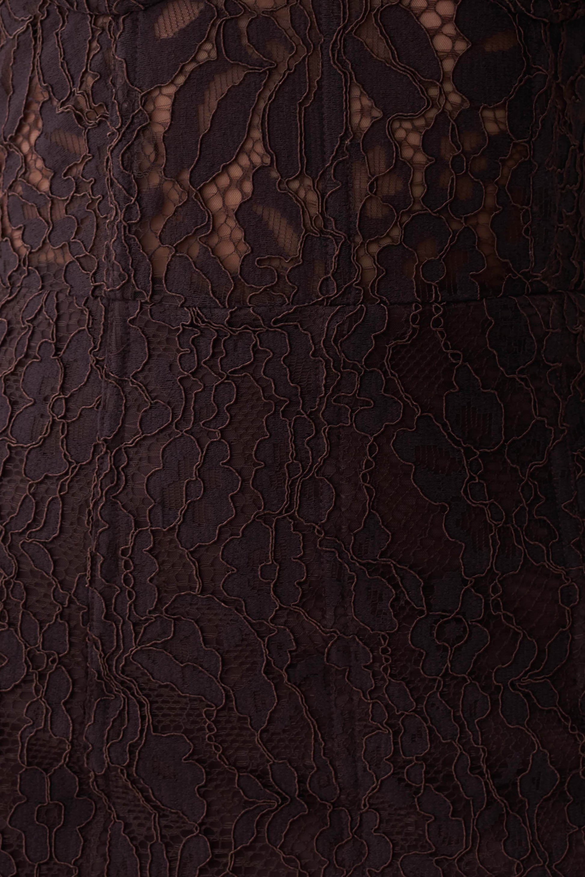 Ottilie Lace And Mesh Midi Dress - Dark Chocolate #7
