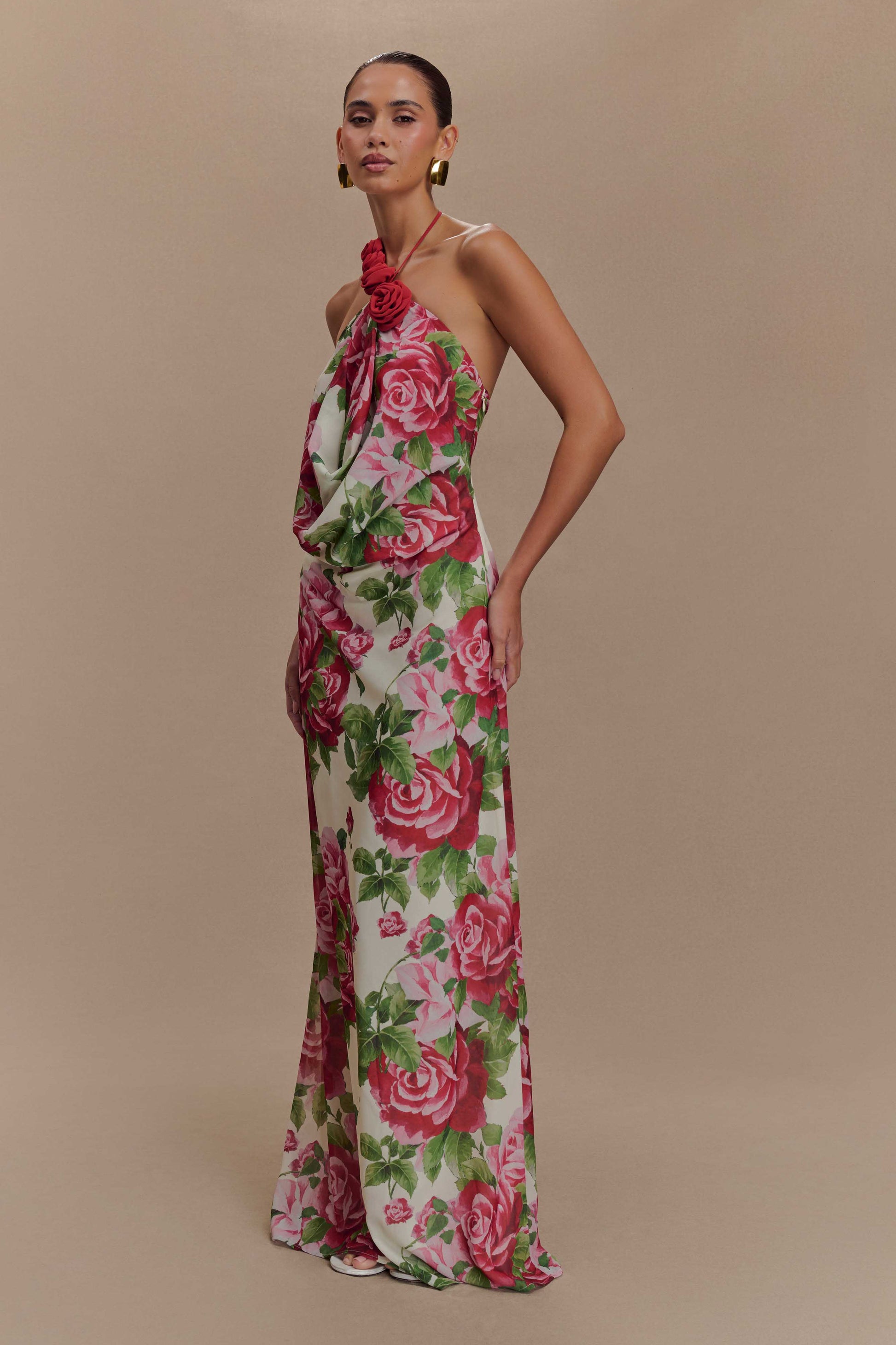 Rosalia Cowl Neck Maxi Dress - Sonia Rose Print #6