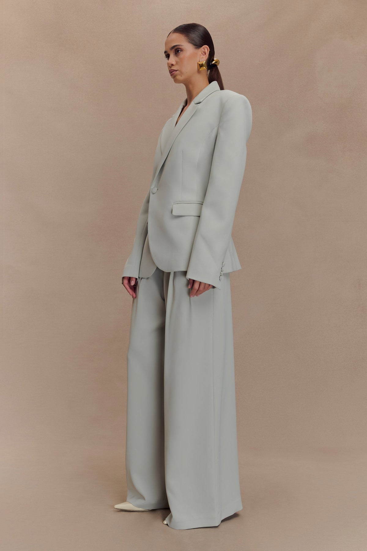 Jameson Pleated Wide Leg Pants - Light Sage #4