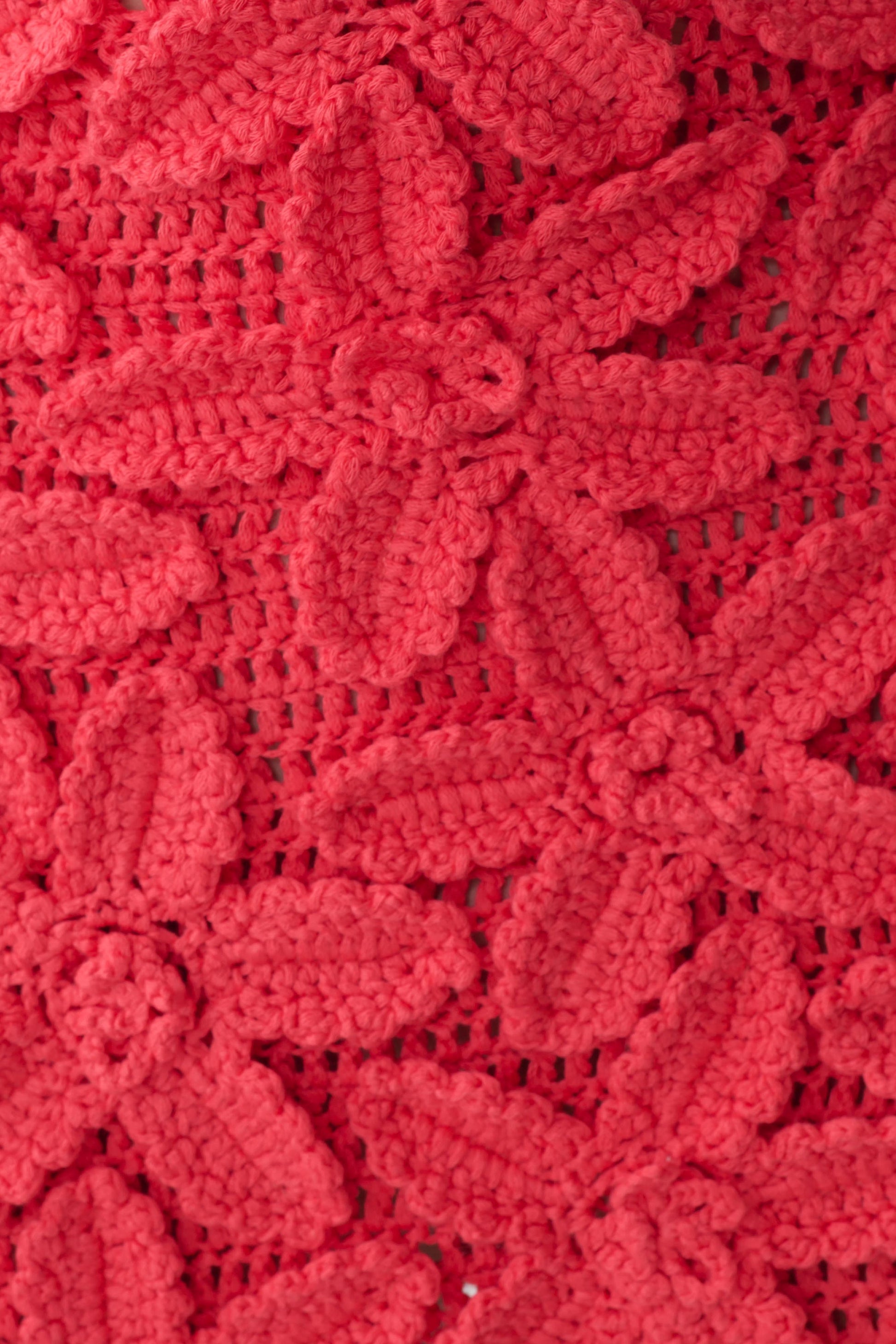Jaylene Floral Crochet Mini Dress - Pomegranate #5