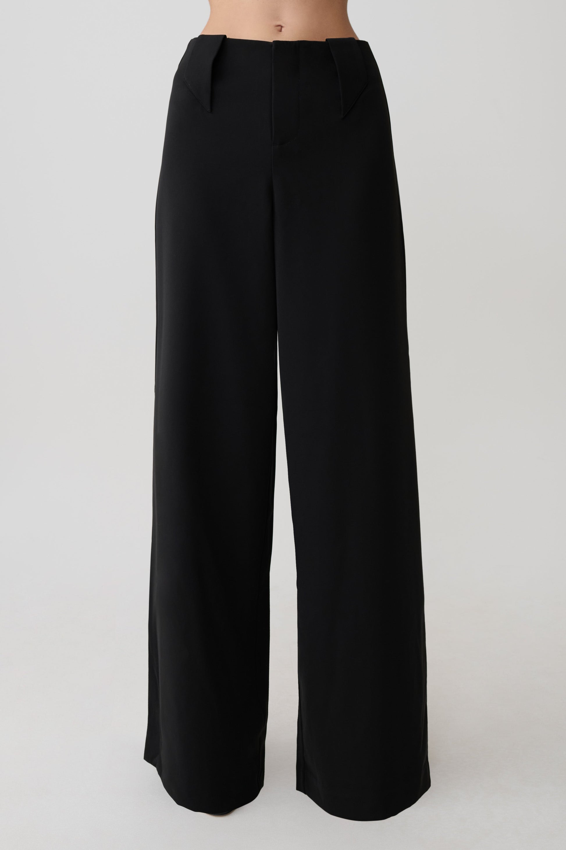 Arlo Wide Leg Suiting Trouser - Black #6