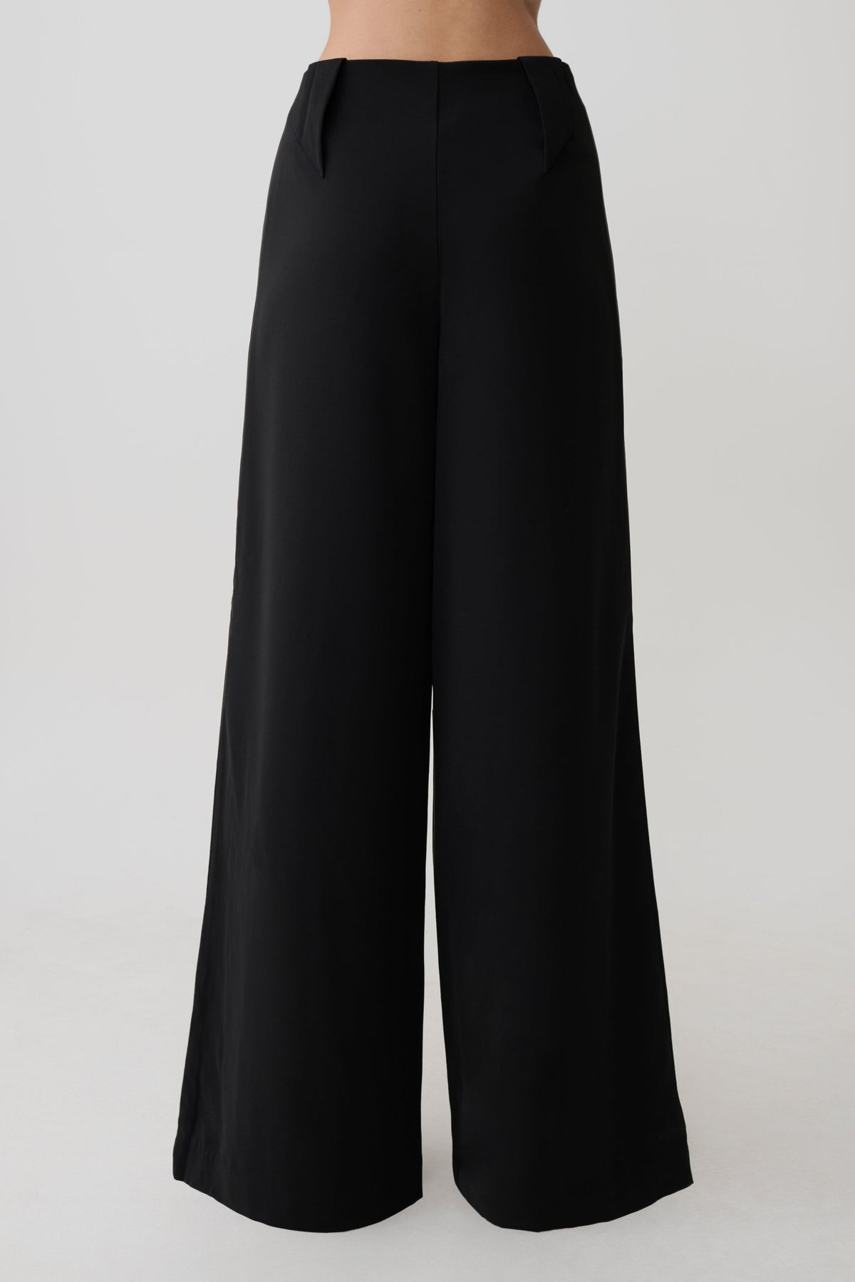 Arlo Wide Leg Suiting Trouser - Black #2