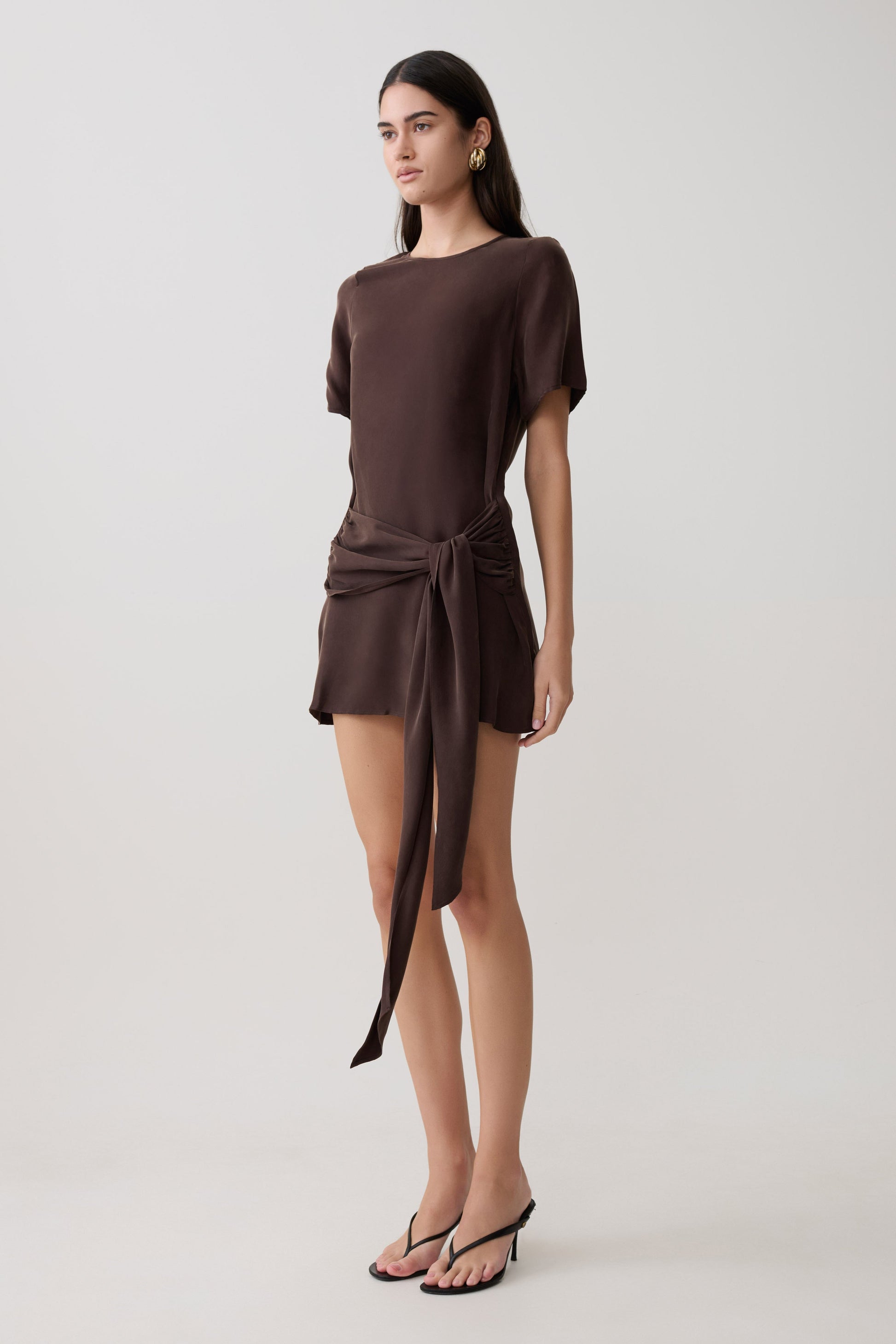 Felicity Short Sleeve Dress With Waist Tie - Dark Chocolate #4