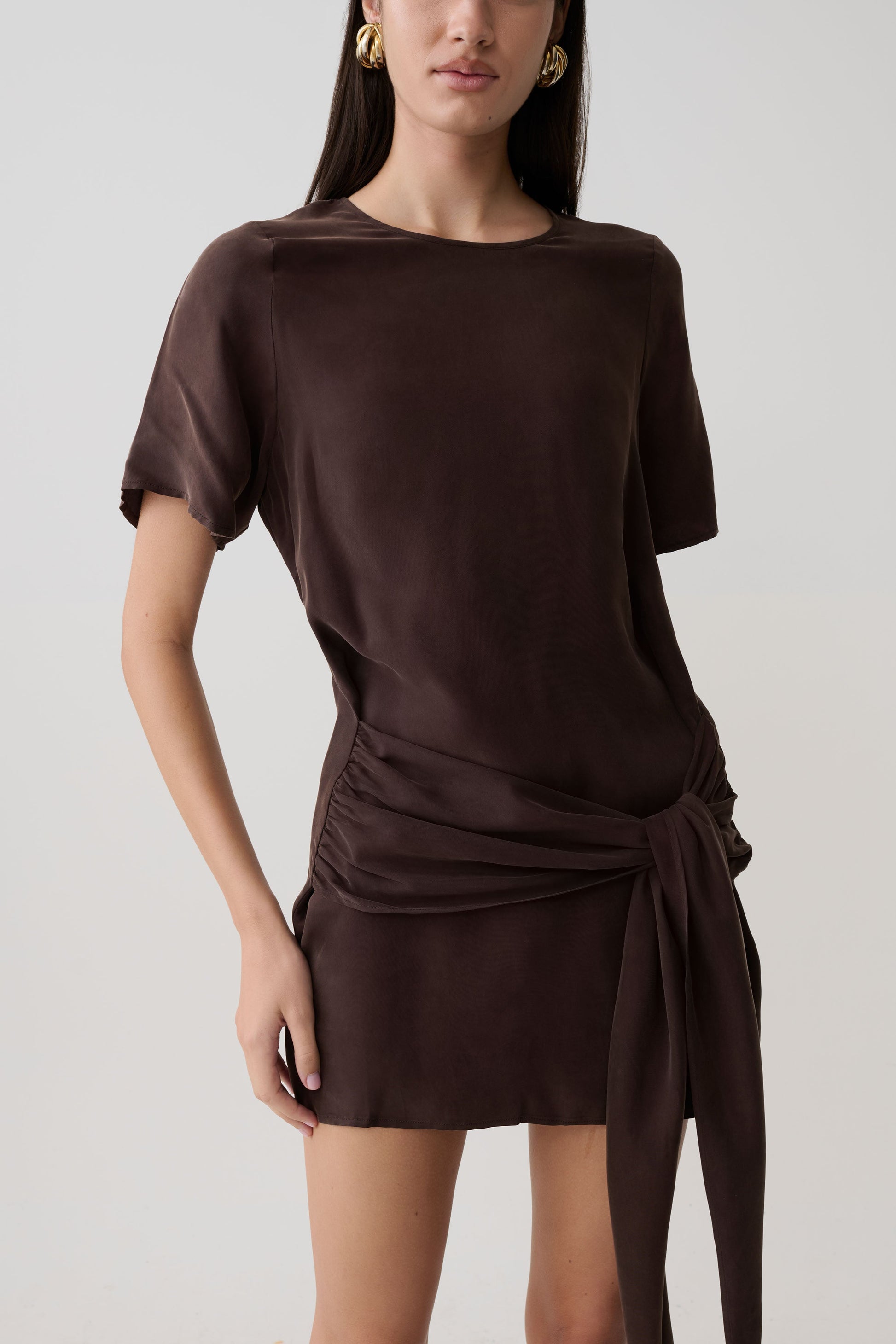 Felicity Short Sleeve Dress With Waist Tie - Dark Chocolate #6