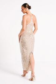 Tierra Sequin Maxi Dress - Silver