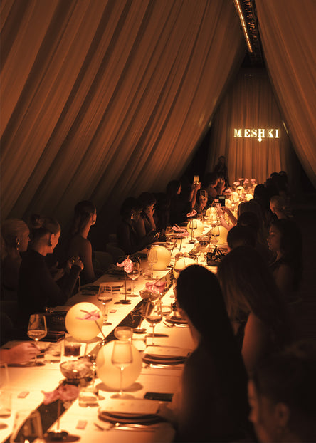 The Nile by Night Campaign