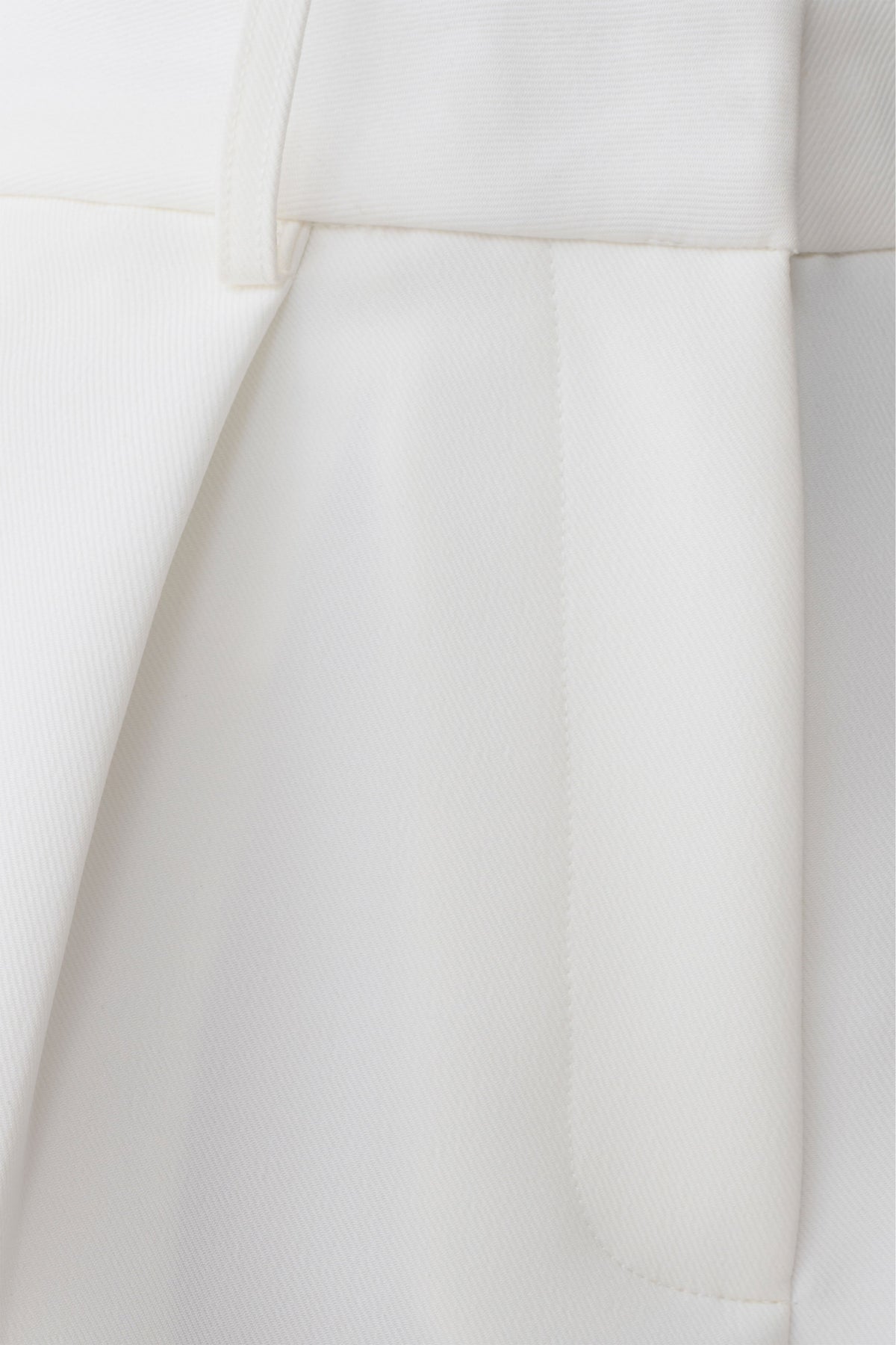 Dominique Pleated Suiting Shorts - Ivory #5