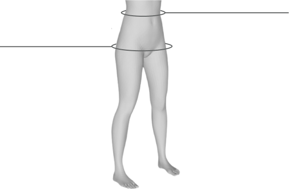 Lower body illustration showing waist and hip fit